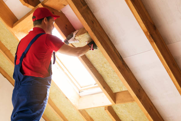 Best Insulation Air Sealing  in Rochester Hills, MI